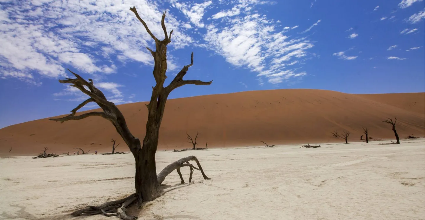 Should Your Practice Charge