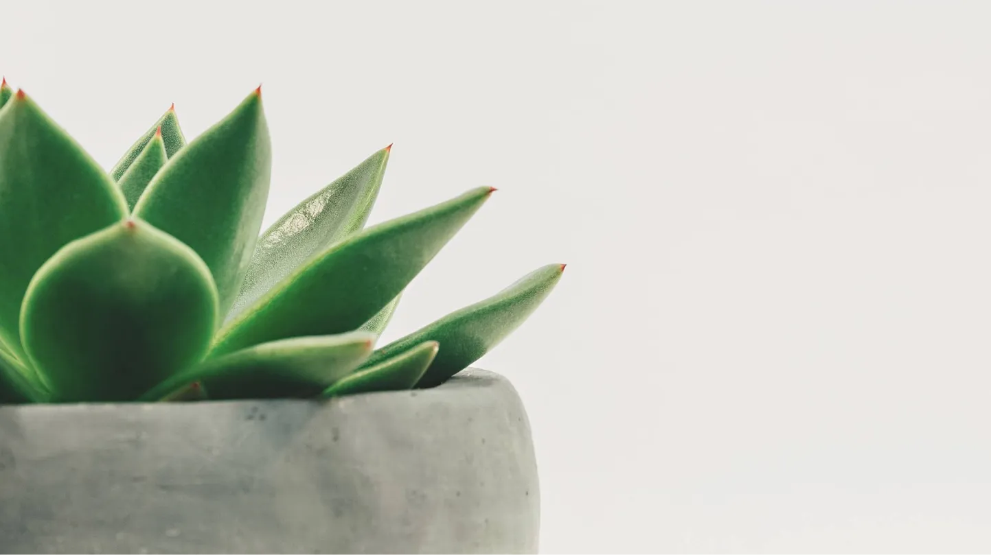 12 Best Practices to Keep Your Staff