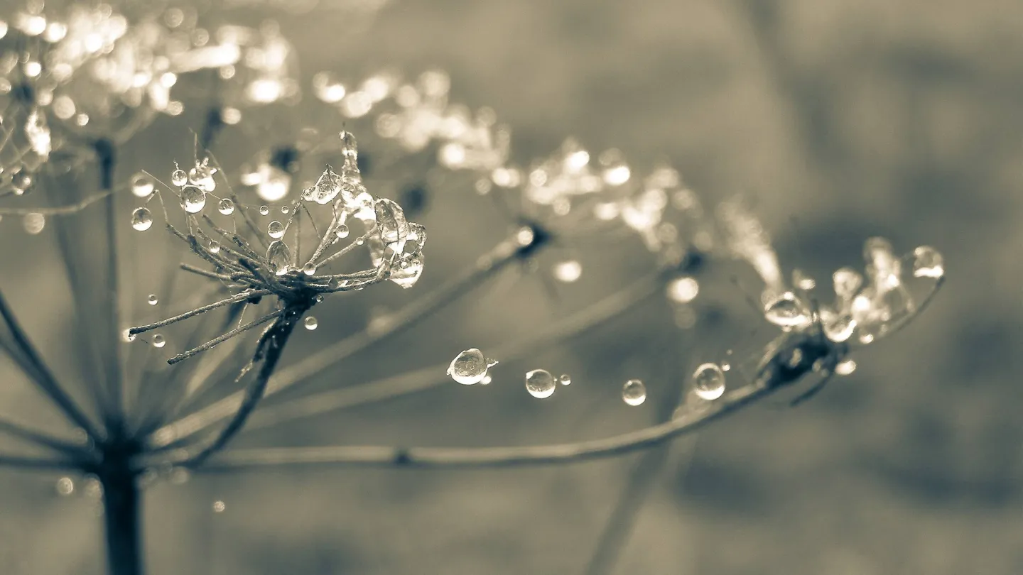 Physicians Show Optimism