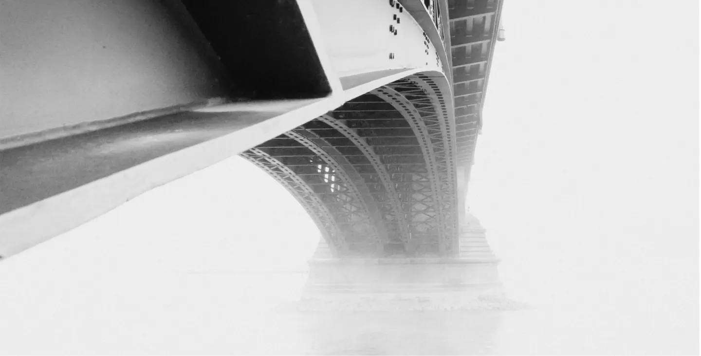 The Fate of Meaningful Use