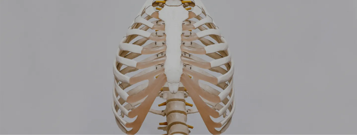 Free Medical Chart Template