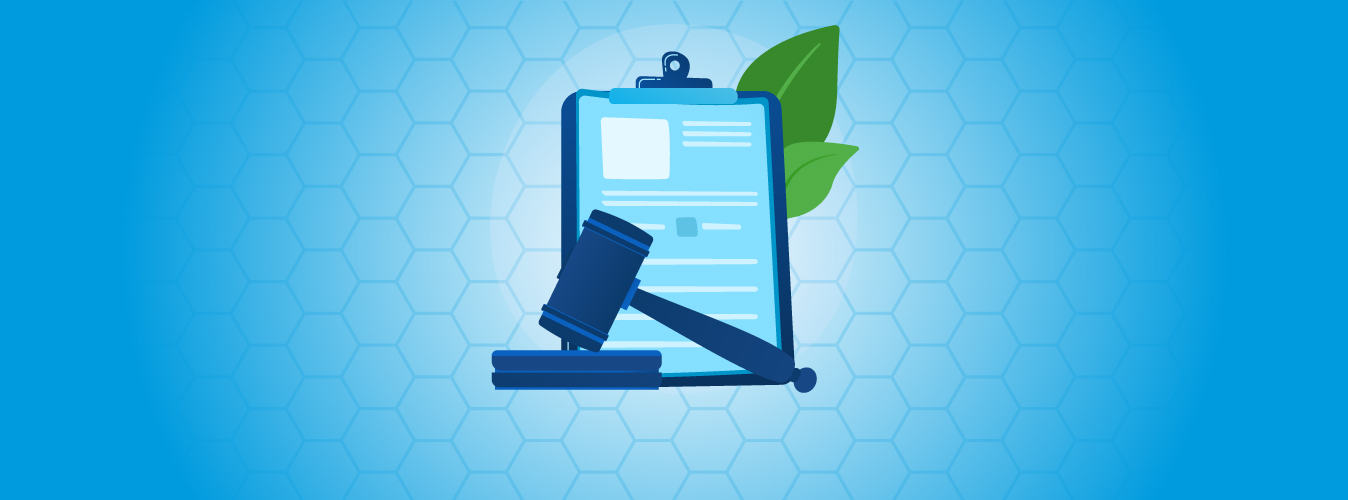 Adjudication in Medical Billing