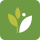 Athena Health Logo